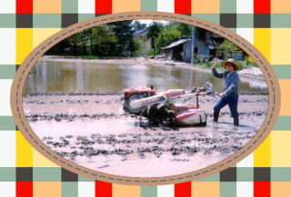 �p�p�̈���